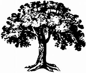 Walnut Creek Dental